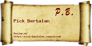 Pick Bertalan névjegykártya